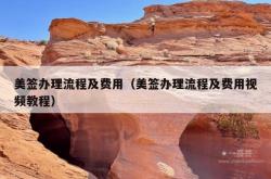 美签办理流程及费用（美签办理流程及费用视频教程）