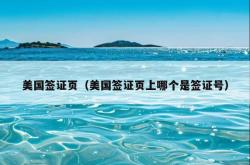 美国签证页（美国签证页上哪个是签证号）