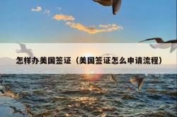 怎样办美国签证（美国签证怎么申请流程）