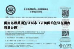 国内办理美国签证城市（去美国的签证在国内哪里办理）