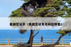 美国签证页（美国签证页号码在哪里）
