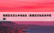 美国签证怎么申请加急(美国签证加急条件疫情)