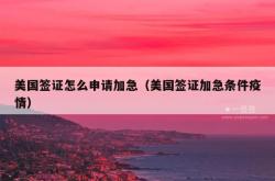 美国签证怎么申请加急（美国签证加急条件疫情）