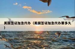 美国签证加急代办（美国签证加急代办要多久）