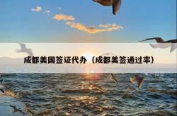 成都美国签证代办（成都美签通过率）