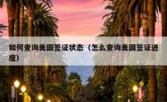 如何查询美国签证状态(怎么查询美国签证进度)