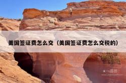 美国签证费怎么交（美国签证费怎么交税的）