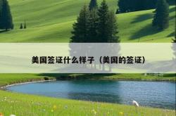 美国签证什么样子（美国的签证）