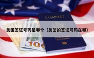 美国签证号码是哪个（美签的签证号码在哪）