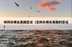 如何办理去美国签证（怎样办理去美国的签证）