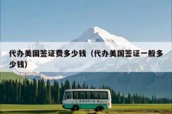 代办美国签证费多少钱（代办美国签证一般多少钱）