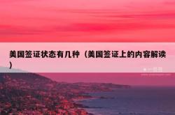 美国签证状态有几种（美国签证上的内容解读）