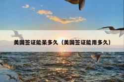 美国签证能呆多久（美国签证能用多久）