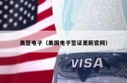 美签电子（美国电子签证更新官网）