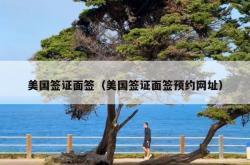 美国签证面签（美国签证面签预约网址）