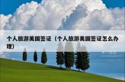 个人旅游美国签证（个人旅游美国签证怎么办理）