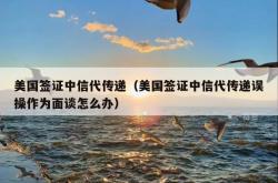 美国签证中信代传递（美国签证中信代传递误操作为面谈怎么办）