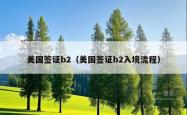 美国签证b2（美国签证b2入境流程）
