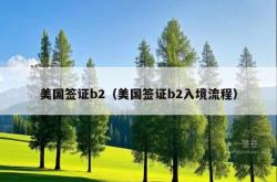美国签证b2（美国签证b2入境流程）