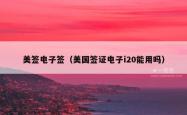 美签电子签（美国签证电子i20能用吗）