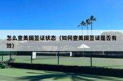 怎么查美国签证状态（如何查美国签证是否有效）