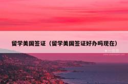 留学美国签证（留学美国签证好办吗现在）