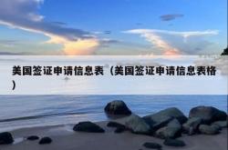 美国签证申请信息表（美国签证申请信息表格）