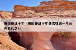 美国签证十年（美国签证十年多次往返一年允许去几次?）