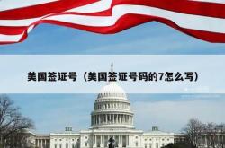美国签证号（美国签证号码的7怎么写）