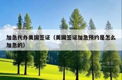 加急代办美国签证（美国签证加急预约是怎么加急的）
