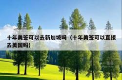 十年美签可以去新加坡吗（十年美签可以直接去美国吗）
