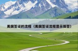 美国签证的流程（美国签证流程显示拒签）