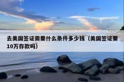 去美国签证需要什么条件多少钱（美国签证要10万存款吗）