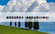美签签证费多少（美国签证费220美元）