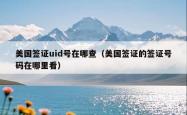 美国签证uid号在哪查（美国签证的签证号码在哪里看）