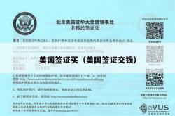 美国签证买（美国签证交钱）