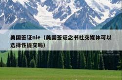 美国签证nie（美国签证念书社交媒体可以选择性提交吗）