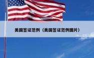 美国签证范例（美国签证范例图片）