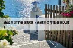 未成年游学美国签证（未成年留学生美国入境）