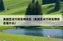 美国签证行政处理状态（美国签证行政处理状态是什么）