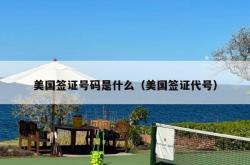 美国签证号码是什么（美国签证代号）