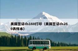 美国签证ds160打印（美国签证ds260表样本）