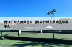 因公护照去美国签证（因公护照去美国签证要多久）