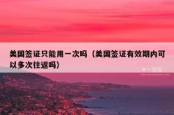 美国签证只能用一次吗（美国签证有效期内可以多次往返吗）