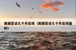 美国签证几个月出境（美国签证几个月出境最好）