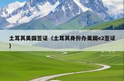 土耳其美国签证（土耳其身份办美国e2签证）