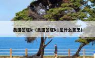 美国签证k（美国签证k1是什么意思）