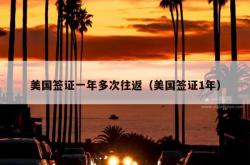 美国签证一年多次往返（美国签证1年）