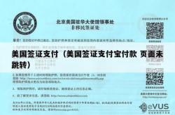 美国签证支付（美国签证支付宝付款 页面未跳转）