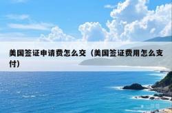 美国签证申请费怎么交（美国签证费用怎么支付）